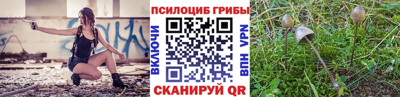 Псилоцибиновые грибы Psilocybine cubensis  Уяр 